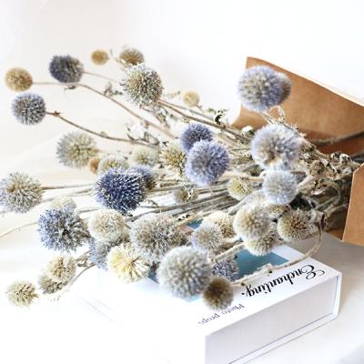 China Green environmental protection flower decoration steam dry thorn ball simulation flower ball new long for sale