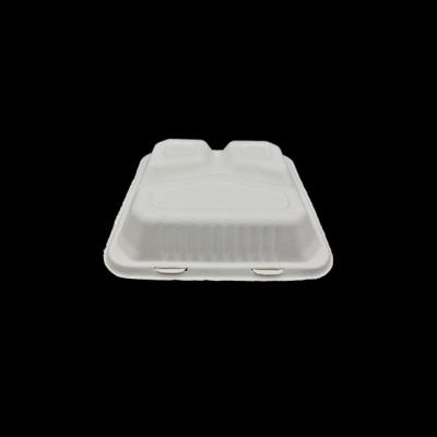 China Disposable Compostable Fast Food Sugarcane Bagasse Biodegradable Lunch Bento Box for sale