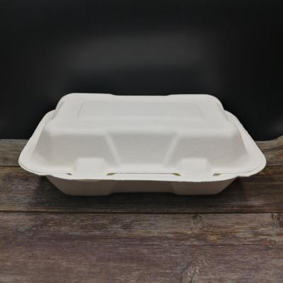 China Disposable Food Packaging Bento Biodegradable Lunch Box for sale