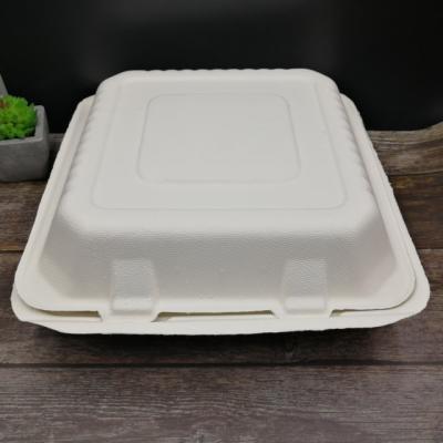 China Eco-Friendly Disposable Sugarcane Bagasse Paper Disposable Lunch Box for sale