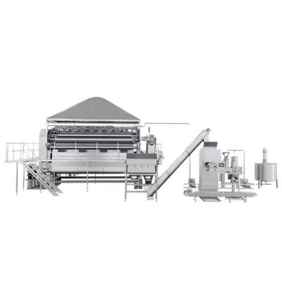 China Garment Shops Automatic Stainless Steel Baby Food Rice Flakes Making Machine for sale