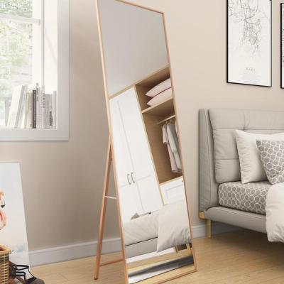 China Modern Simplicity Home Furniture Floor Mirror High Quality Dressing Mirror Significantly Tall And Thin for sale