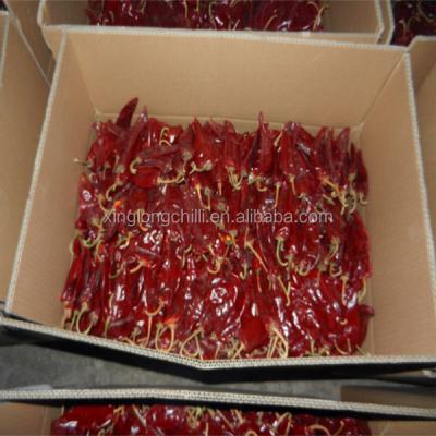 China Dried Dried Sweet Paprika Pods With Carton Packing for sale