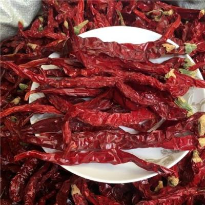 China Xian Chili Dried Crumpled Exported To Malaysia Packed In Jute Bag, Crisp Chilli, Powder Red Chilli for sale