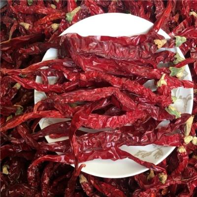 China 2000 Kinds of SHU Mild Dry Red Xian Chili Long Pepper Buyers Many Dry Chilli Chinese Factory Export Over 30 Years for sale