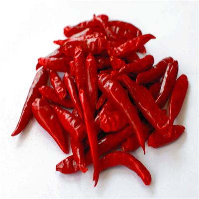 China Dried Directly Supply Sanying Stemless Chilli Pepper for sale