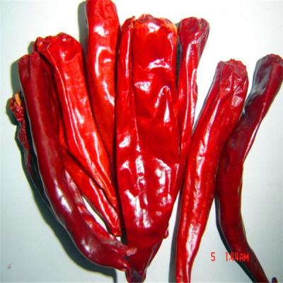 China Best Selling Products Henan Sanying Dry Chilli Pepper for sale