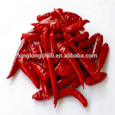 China Dried Red Chili Pepper Most Competitive Price For Buyers for sale