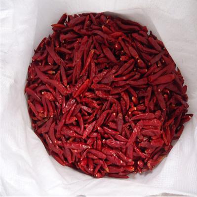 China New Dry Culture Dried Hot Spicy Stemless Chaotian Red Pepper Tianjin Chili Sanying Chilli Dehydrated Red Chilli On Hot Sale for sale