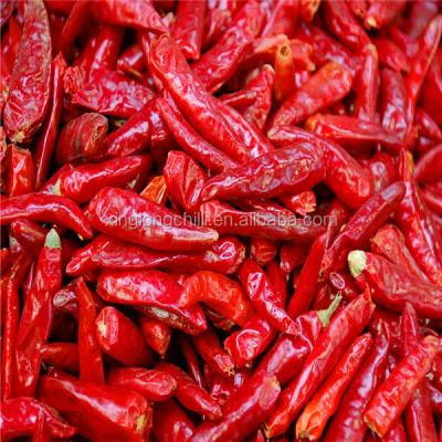 China New Cultivation Dried Chaotian Chilli Dried Red Chilli Exporter for sale