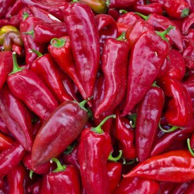 China Dry Herb Spice Products Factory in China Supply Dry Red Pepper for sale