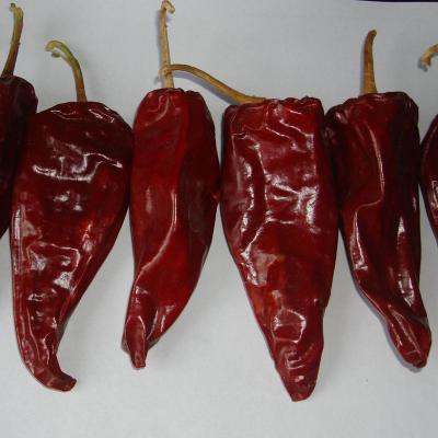 China Good Quality Dried Yidu Chilli Dried Dark Red Red Sweet Paprika For Pigment Extraction for sale