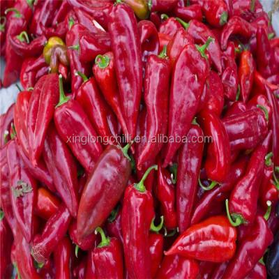 China Low Price Yidu Dry Wholesale Sweet Chilli Pepper for sale