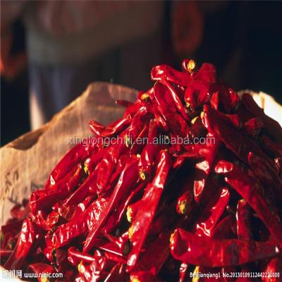 China Erjingtiao Long Red Chilli For Fried Chilli Rings XL01 for sale