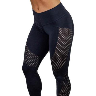 China Black Factory Supply Antibacterial Mesh Workout Leggings Women's Leggings For Mesh Gym Leggings for sale