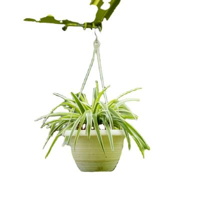 China Hang Worth Cheap Wholesale Crochet Flower White Decorative Planter Hanging Plastic Pots for sale