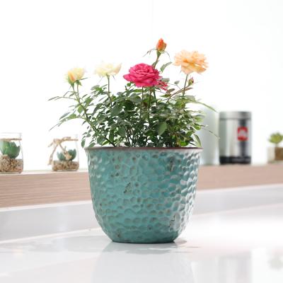 China Europe 6pcs Small Desktop Drain Hole Floor Succulent Plant Plastic Pots Wholesale for sale