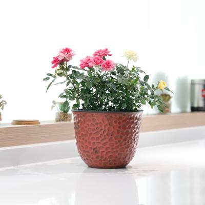 China Europe Value Factory Wholesale Set Indoor Cute New Set Plastic Pots For Plants for sale