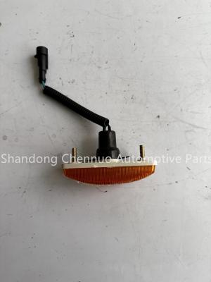 China Truck Parts Shandeka Side Driver'S Cab Side Marker Light WG9925720014 for sale