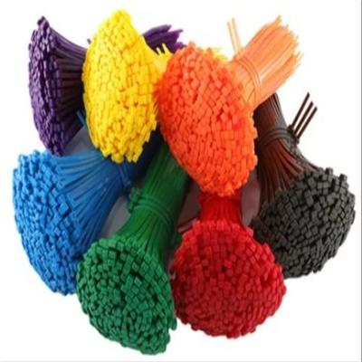 China Eco-friendly Releasable Plastic Cable Ties For Package for sale