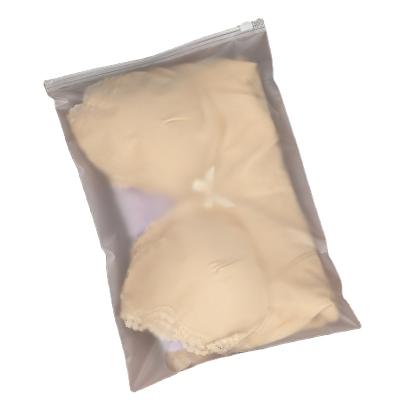 China Recyclable High Quality Biodegradable Frosted PE Packaging Bags Dust Proof Zipper Bag for sale