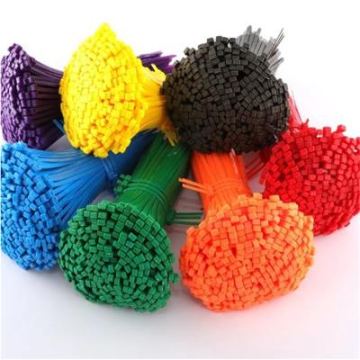 China Eco-friendly Releasable Plastic Cable Ties For Package for sale