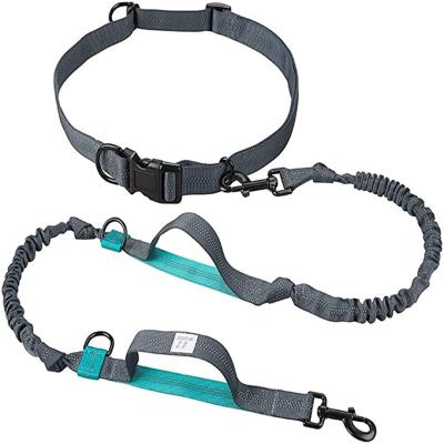 China Retractable Hands Free Padded Bungee Dog Leash With Adjustable Restraint Belt Training On for sale