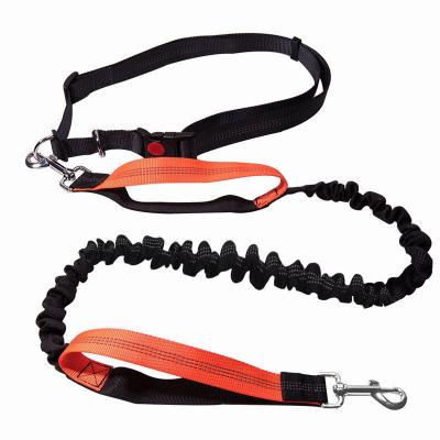 China Bungee Pet Lead Adjustable Hands Free Elastic Restraint Belt Padded Working Jogging Walking Leash Two Handle For Walking for sale