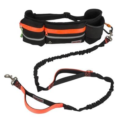 China Viable Thoughtful Hands Bungee Dog Training Lead Free Nylon Leash Restraint Belt Bags With Treat Pouch Water Bottle Holder for sale