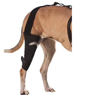 China Custom Canine Knee Brace Padded 3.0 Mm Neoprene Safety Aftermarket Support Dog Lift Harness For Injuries Walking for sale