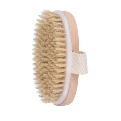 China EXFOLIATING 2021 Hot Selling Popular Wooden Body Brush Cleaning Brush Customized Exfoliating Bristle Bath Brush for sale