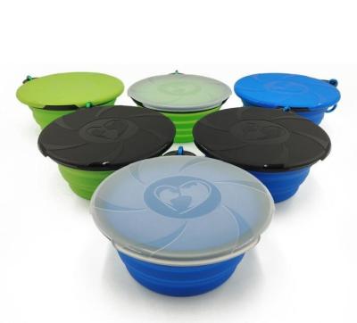 China Travel Dog Silicone Pet Water Sustainable Collapsible Bowl Collapsible Pet Food Feeding Bowl for sale