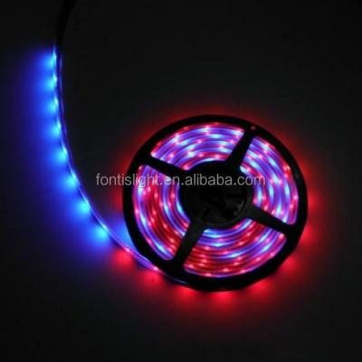 China 5050 1903 Aluminum Addressable DC 12V Digital RGB LED Strip for sale