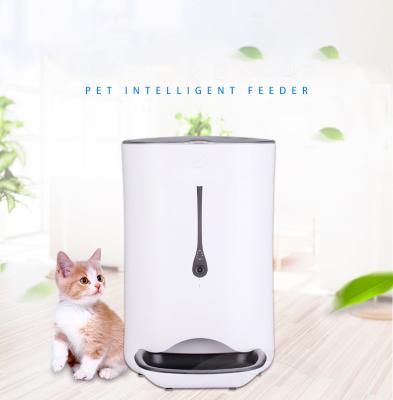 China Automatic Pet Programmable Smart Feeder Voice Recorder Automatic Time Feeding Calling Dog Cat Feeder for sale