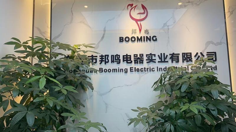 Verified China supplier - Dongguan Booming Electric Industrial Co., Ltd.