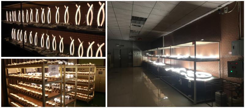 Verified China supplier - Zhongshan Rong Fei Lighting Co., Ltd.