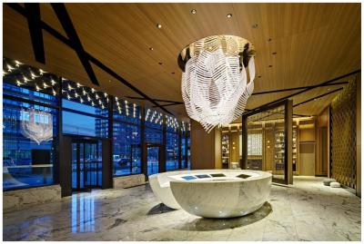 China Creative Art Luxury Custom Led Chandelier For Hotel for sale