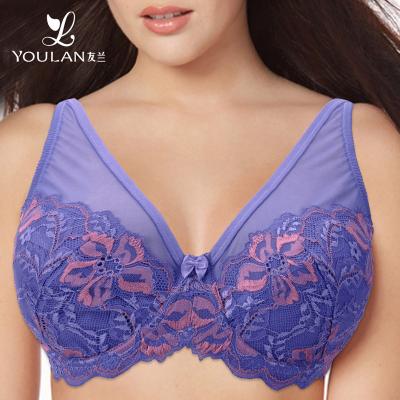 China OEM/ODM Antibacterial Service Underwear Sexy Female Lingerie Padded Plus Size Bra for sale