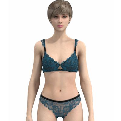 China New Design QUICK DRY Mesh Women Lingerie Sexy Eco-friendly Bra And Panties Set Lace Underwear Bra And Brief Set for sale