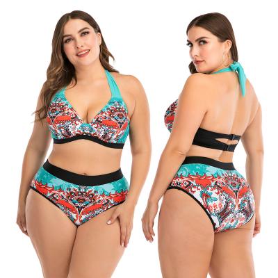 China 2020 New Anti-UV Wholesale Customized Solid Bikini Set Two Piece Swimsuit Women Plus Size Swimwear Swimwear for sale