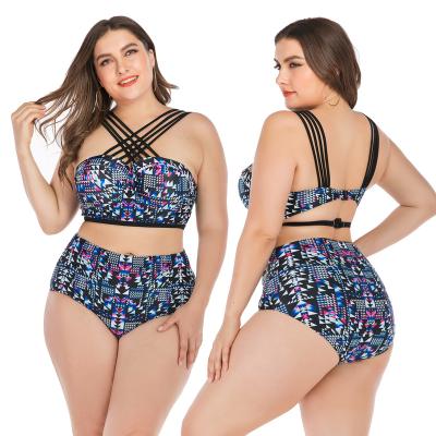 China Latest Design Custom Plus Size Plus Size Bikinis Woman Swimwear Large Size Swimwear for sale