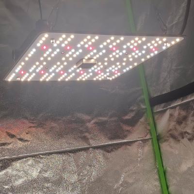 China Seed Starting Pull Hydraulic Indoor Starting Seed Grow Tent Indoor Plants Grow Full Spectrum Samsung Diodes 100W LED Grow Lights for sale