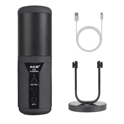 China Cardioid USB Microphone Broadcast Streaming MIC for Podcasting Professional Condenser Microphone Studio Desktop Recording for sale