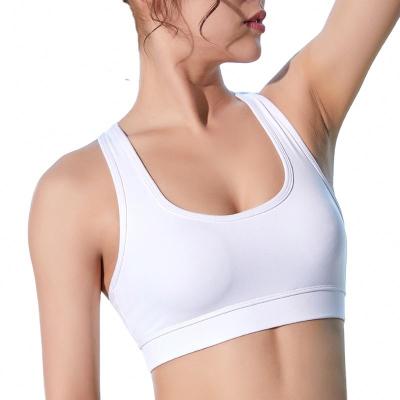 China Breathable Women Gather Fitness Vest Yoga Beauty Shockproof Running Back No Rims Bra Sports Underwear for sale