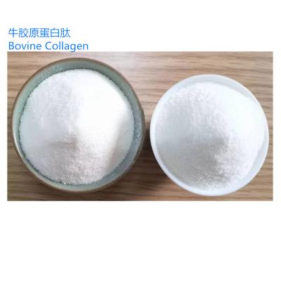 China Collagentener 100% Beauty Products Collagen Peptide Powder Health And Beauty Bovine Skin Smell Good for sale