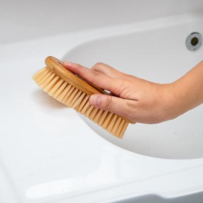 China Viable Eco-Friendly Bamboo Floor Brush and Scrub Brush for sale