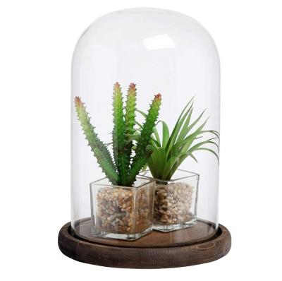 China Eco-friendly Bell Glass Bell Jar Glass Display Case With Base for sale