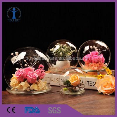 China Wholesale High Quality Eco-friendly Home Decor French Decor Glass Bell Display Factory Style Glass Cloche for sale