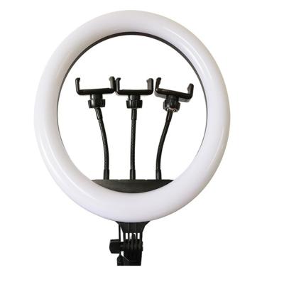 China 14inch selfie ring light  streamer led light smartphone holder for sale