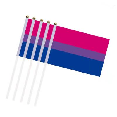 China Rainbow Series Hand Held Flag Automotive Bisexual Indoor Outdoor Polyester Flag for sale